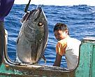 Tuna in the Indian Ocean