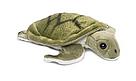 Three of the seven existing species of marine turtle are critically endangered !
/ ©: Mimex / ©: Mimex