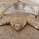 &copy; WWF Lao PDR