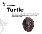 Turtle Shells and Derivatives report cover