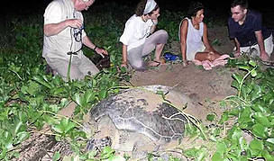  / &copy;: WWF / Carlos Drews