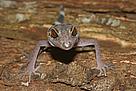  / &copy;: Thomas Ziegler / WWF Greater Mekong