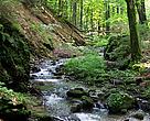 Ukraine includes some of the most valuable natural areas in the Carpathian Mountains. 