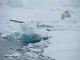  / &copy;: WWF