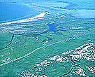 The Danube Delta is home to 300 bird species, about 64 percent of all species recorded in Ukraine over the past two decades