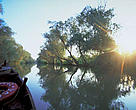 Tataru Island retains some of the most natural qualities of the Danube Delt