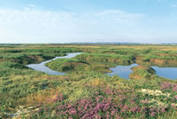  / &copy;: C. Gomersall / WWF-UK