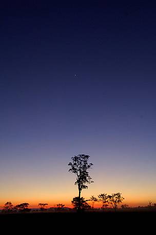 The sun rising at Guarayos, Santa Cruz, Bolivia, where the tree for Un Árbol was felled in May 2006 / ©: WWF / Andrés UNTERLADSTAETTER The sun rising at Guarayos, Santa Cruz, Bolivia, where the tree for Un Árbol was felled in May 2006 / ©: WWF / Andrés UNTERLADSTAETTER