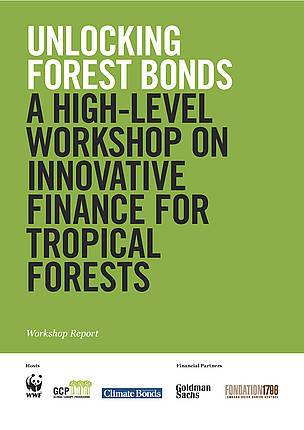  / &copy;: WWF/GCP/Climate Bonds