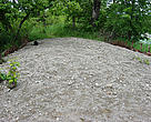 A sand bank improves crocodile habitat at Ghodaghodi 