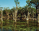 Rio Tapajós, Amazonas, Brazil.
