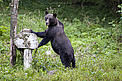  / &copy;: WWF DCP/Michel Gunther