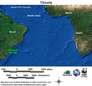 Map locator for this leatherback. Click to view an enlarged animated version. The latest positional ... / ©: WWF-CCC Animated map of Victoria. / ©: WWF-CCC