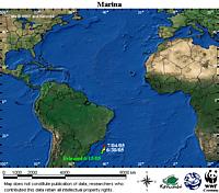 Map locator for this leatherback. Click to view an enlarged animated version. The latest positional ... / ©: WWF / CCC Map locator for this leatherback. Click to view an enlarged animated version. The latest positional ... / ©: WWF / CCC