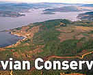 Aerial view of deforestation of temperate rainforest Near Valdivia Chile
