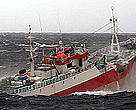 The Uruguayan-flagged, Viarsa 1, suspected of fishing illegally for Patagonian toothfish in Australian Antarctic waters, was apprehended in August 2003 after a marathon hot pursuit across the Southern Ocean. The vessel was apprehended with assistance from the South African and United Kingdom authorities, and brought back to Australia. 