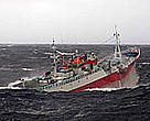 The Uruguayan-flagged, Viarsa 1, suspected of fishing illegally for Patagonian toothfish in Australian Antarctic waters, was apprehended in August 2003 after a hot pursuit across the Southern Ocean.