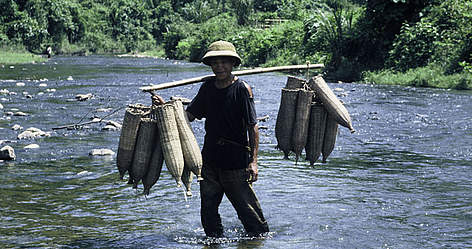 Collecting eels in the buffer zone of Pu Mat National Park, Central Vietnam near Laos. / ©: Elizabeth Kemf / WWF-Canon rel=