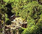 The new project will promote the sustainable management of Vietnam's forests.