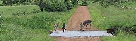 Rural scene outside uMkhuze Game Reserve. / ©: WWF-Canon / Pam Sherriffs Rural scene outside uMkhuze Game Reserve. rel=