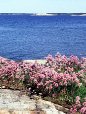 Ekenäs Archipelago National Park on the Baltic Sea, Finland. / &copy;: Mia Ronka