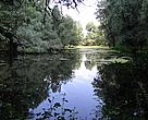 Vit River/Ivan Hristov, WWF DCP