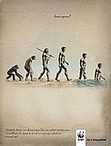  / &copy;: WWF DCP RO