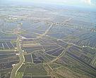 In order to supply the growing global demand for seafood, much land has been converted for aquaculture in Vietnam.