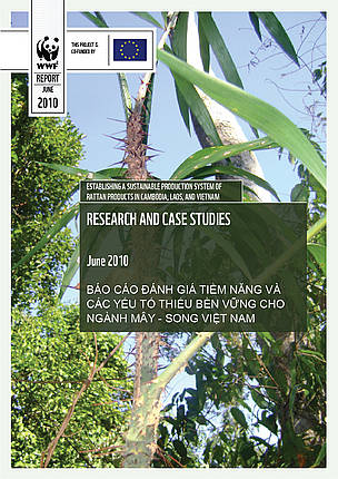 Cover for Vietnam Country Assessment