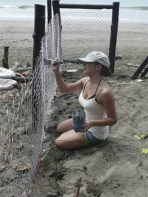 Volunteer helping marine turtle conservation project in Junquillal / ©: Ana Fonseca, WWF LAC / ©: Ana Fonseca, WWF LAC