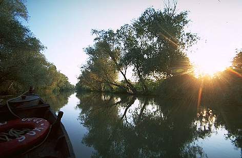 One of the channels of the Lower Danube. Some side branches are threatened by planned engineering ... / ©: Anton Vorauer WWF rel=