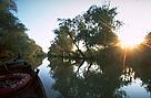 One of the channels of the Lower Danube. Some side branches are threatened by planned engineering ... / ©: Anton Vorauer WWF / ©: Anton Vorauer WWF
