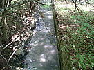 Замърсен извор в с. Лютаджик (Врачанско) / ©: Iren Ilieva A stream running through a forest / ©: Iren Ilieva
