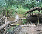 The Waki River flows through a mosaic of riverine forests and wetlands, draining into Lake Albert.