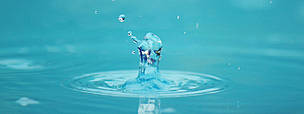 Water drop. / ©: Frank Parhizgar / WWF-Canada / ©: Frank Parhizgar / WWF-Canada