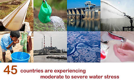  / &copy;: Michel Gunther / WWF-Canon; WWF-Canon / Simon Rawles; Kevin Schafer / WWF-Canon; Istockphoto.com / WWF-Canada; Yoshi Shimizu / WWF-Canon; Yifei Zhang / WWF-Canon; Mauri Rautkari / WWF-Canon; Katrin Havia / WWF-Finland