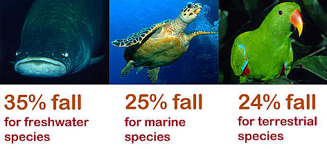  / &copy;: Michel Roggo / Nils Aukan /  Martin Harvey / WWF-Canon