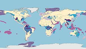 G200 Water Map / ©: WWF G200 Water Map / ©: WWF