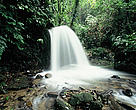 Waterfall at Au Rong, Greater Annamites, Vietnam