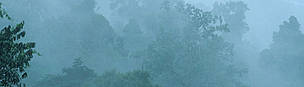Cloud and rain in the canopy of a tropical rainforest in the Amazon. South America / ©: WWF-Canon / Martin HARVEY Cloud and rain in the canopy of a tropical rainforest in the Amazon. South America / ©: WWF-Canon / Martin HARVEY