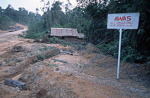 What is left of an elephant What is left of an elephant "corridor" in TESSO NILO Palm oil plantation area. Riau, ... / ©: Alain Compost / WWF-Canon