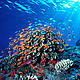 &copy; Cat Holloway / WWF-Canon