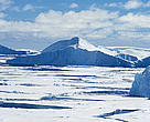 Pack ice and icebergs.  Scotia Sea near South Orkneys.  Antarctica