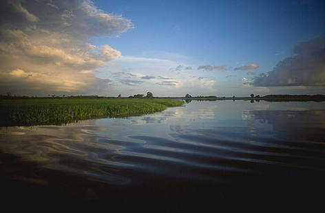 Pará, Brasil / ©: Edward Parker / WWF-Canon rel=