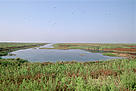 The Bei Dagang Nature Reserve on the Yellow Sea is one of a number of important feeding grounds for ... / ©: Michel GUNTHER / WWF-Canon / ©: Michel GUNTHER / WWF-Canon