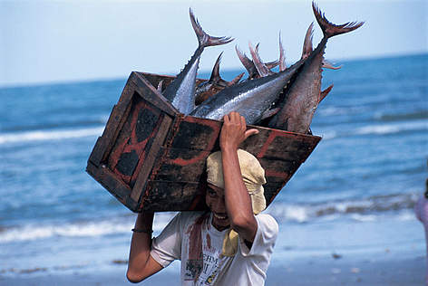 Fisherman with tuna catch, Philippines. / ©: WWF-Canon / Jürgen Freund rel=