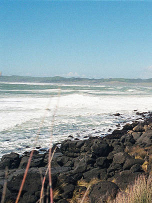 North Island West Coast scenery, near Raglan. Habitat of Maui's dolphin (Cephalorhynchus hectori ... / ©: Tangi Corveler / WWF-Canon North Island West Coast scenery, near Raglan. Habitat of Maui's dolphin (Cephalorhynchus hectori ... / ©: Tangi Corveler / WWF-Canon