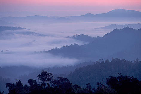 Amanecer sobre el bosque tropical. Malasia / ©: Edward Parker rel=
