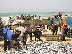  / &copy;: localfishermen CBD front