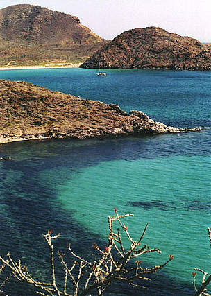 Cajon del Diablo, Gulf of California, Mexico. / ©: Gustavo Ybarra / WWF-Canon Cajon del Diablo, Gulf of California, Mexico. / ©: Gustavo Ybarra / WWF-Canon